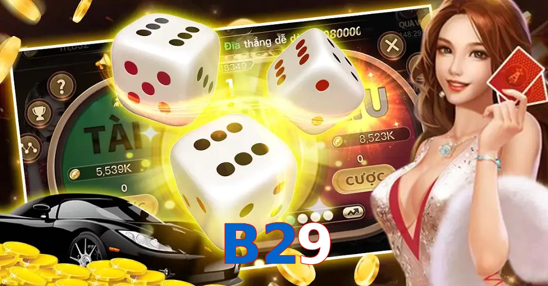 B29